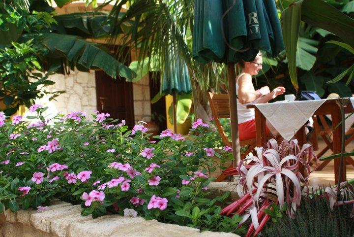 Guest House Orquidea سال راي المظهر الخارجي الصورة