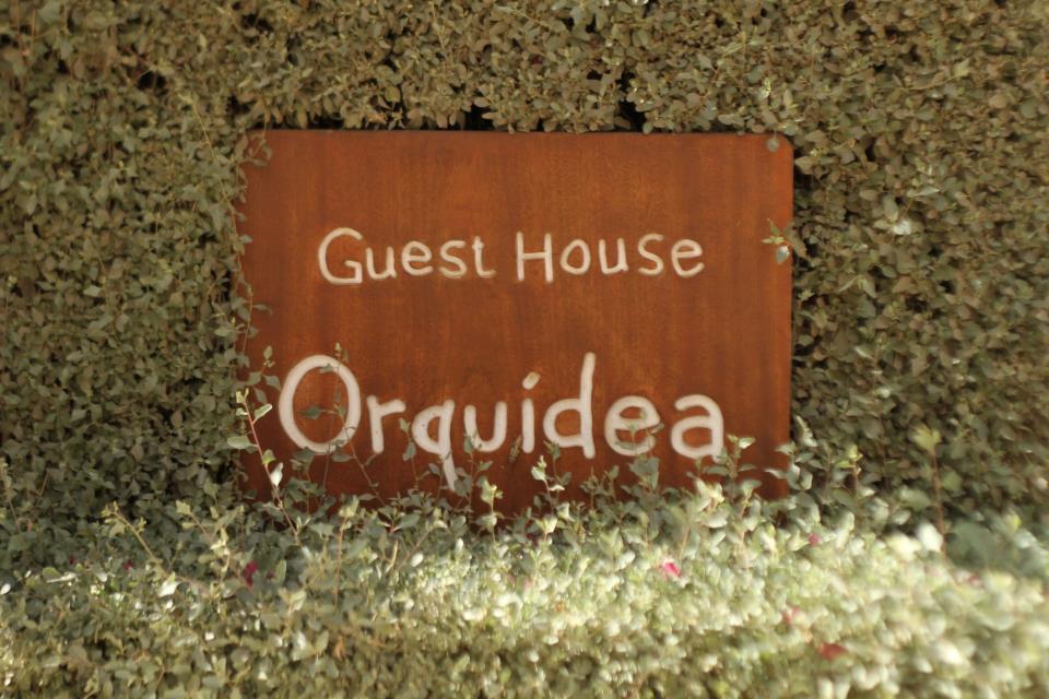 Guest House Orquidea سال راي المظهر الخارجي الصورة